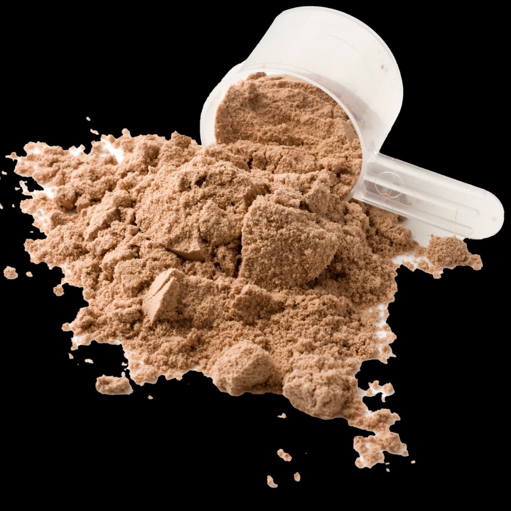 Vận chuyển khép kín bột protein và bột dinh dưỡng mịn